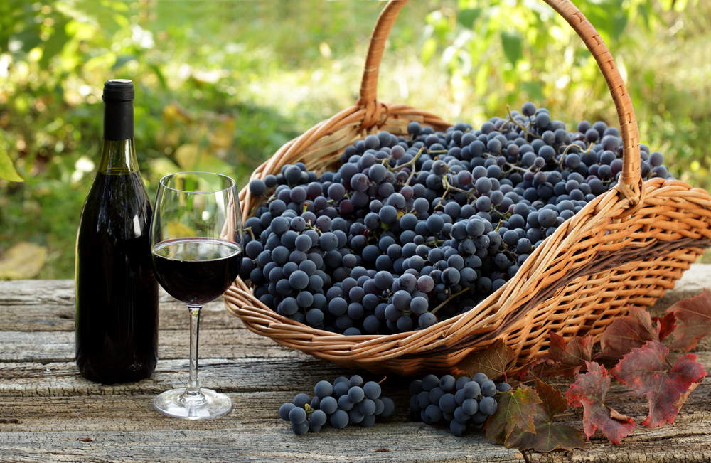 How Many Grapes in a Bottle of Wine