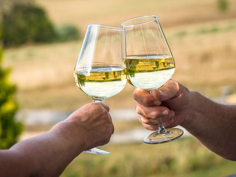 Cheers white wine in glasses on a vineyard