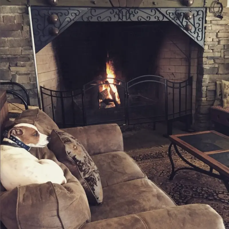 Harpersfield Vineyard & Winery Geneva Ohio 2