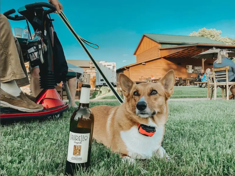 Laurello Vineyards Geneva Ohio 3