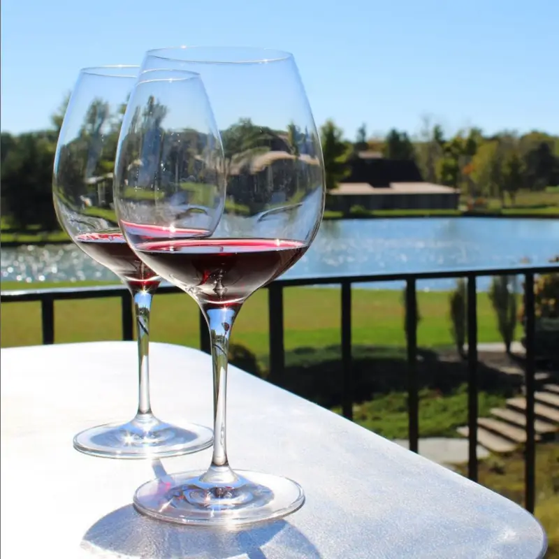 Laurentia Vineyard and Winery 2