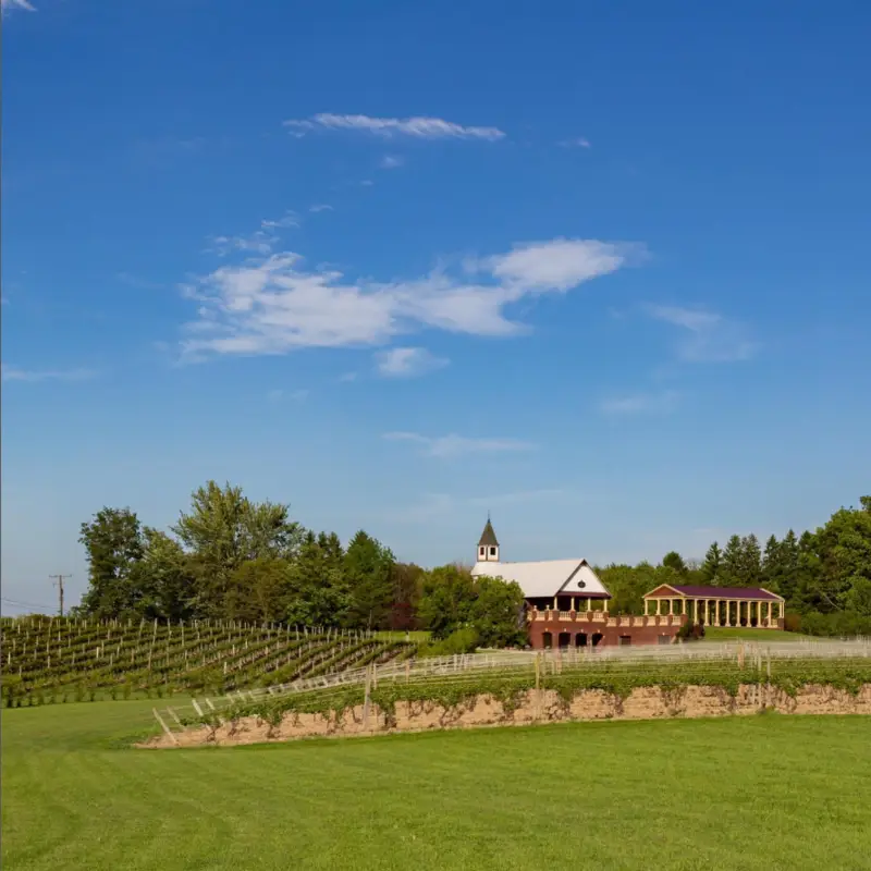 South River Vineyard Geneva Ohio