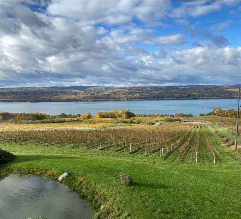 Chateau LaFayette Reneau