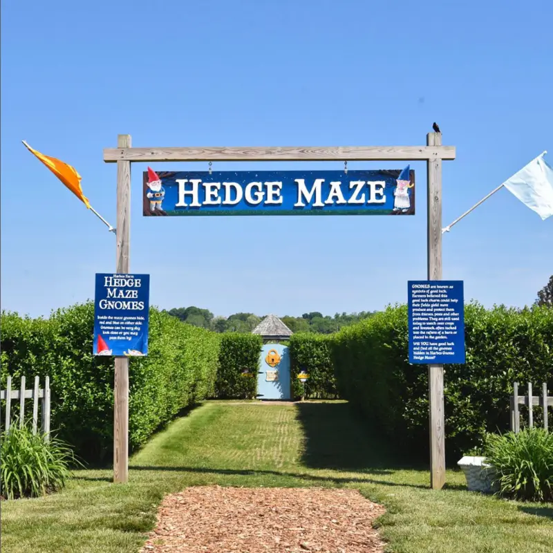 Harbes Family Farm 4