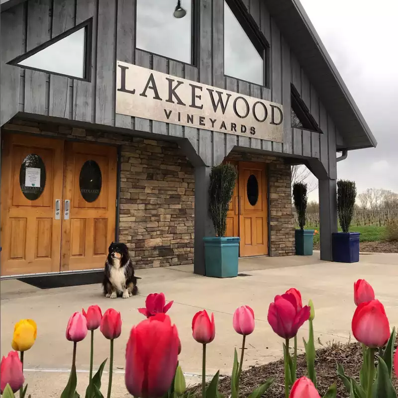 Lakewood Vineyards