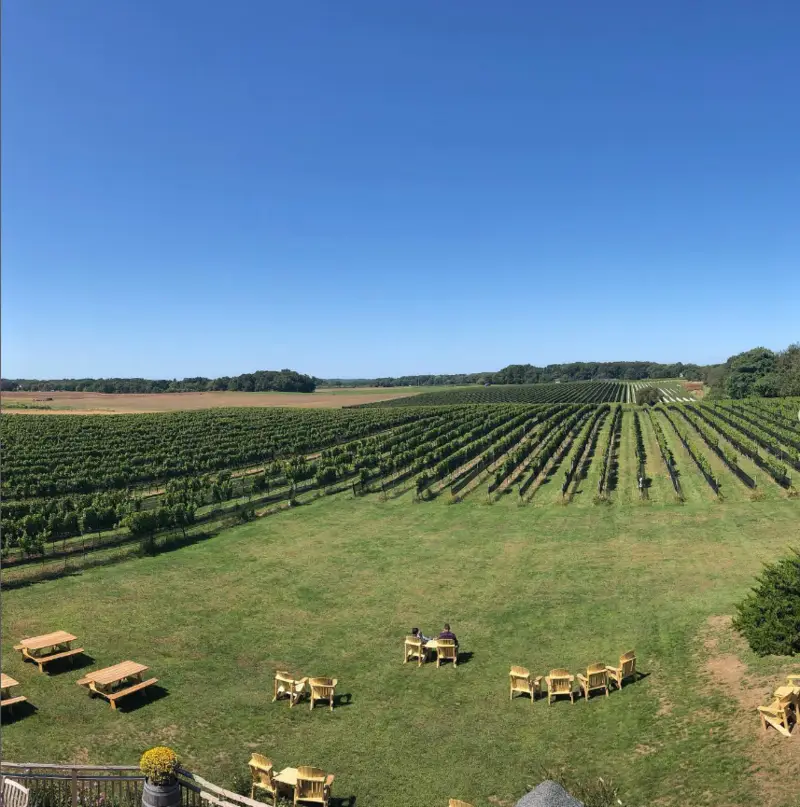 Paumanok Vineyards 2