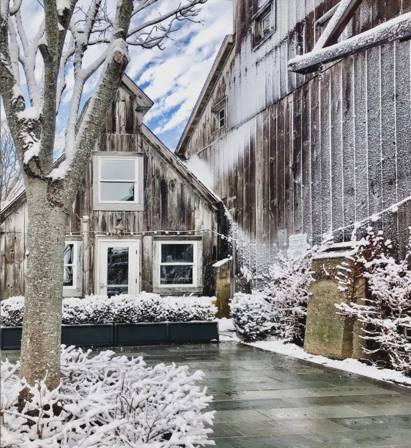 Rose Hill Vineyards 2